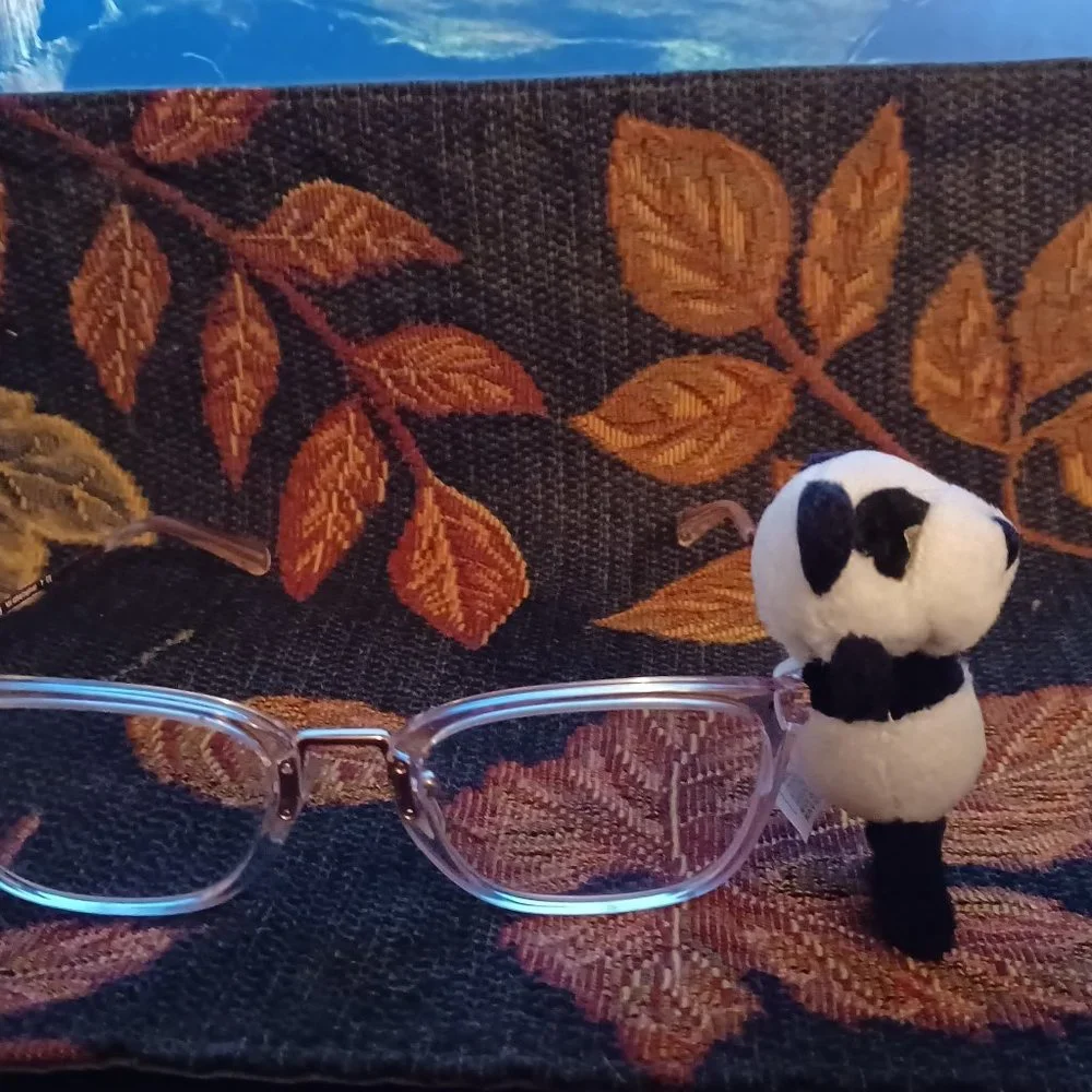 New Vintage Icon Eyewear Kids Eyeglasses buddy / Pal Panda Fit All Glasses